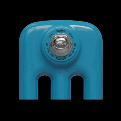 Образец цвета радиатора Rifar Tubog CP RAL 5012 Gloss Капри
