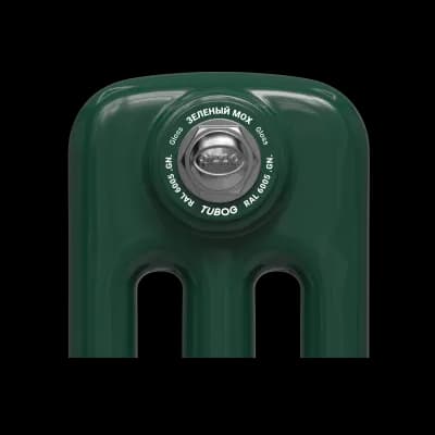Образец цвета радиатора Rifar Tubog GN RAL 6005 Gloss Зеленый мох
