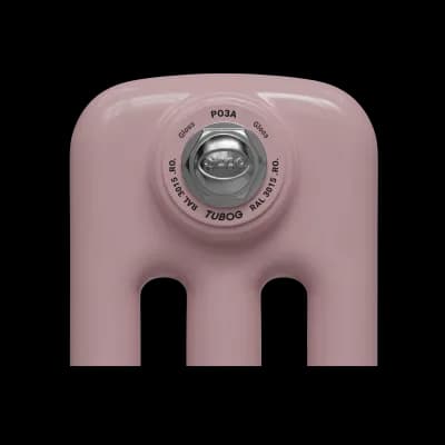 Образец цвета радиатора Rifar Tubog RO RAL 3015 Gloss Роза